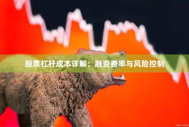 股票杠杆成本详解：融资费率与风险控制
